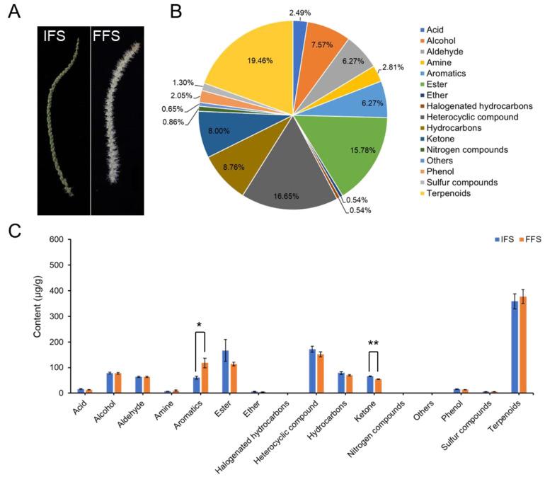 https://cdn.ncbi.nlm.nih.gov/pmc/blobs/badd/11511371/9860c7786833/plants-13-02865-g001.jpg
