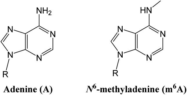 https://cdn.ncbi.nlm.nih.gov/pmc/blobs/bae0/5975930/726810949d76/c5sc02902c-f1.jpg