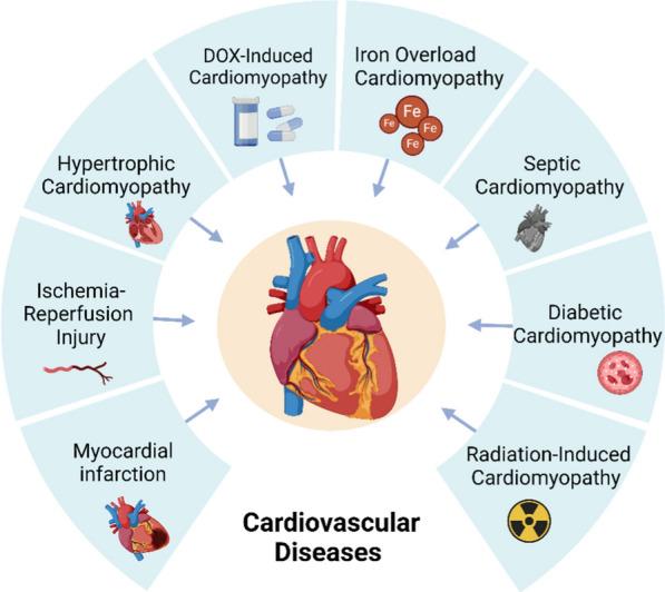 https://cdn.ncbi.nlm.nih.gov/pmc/blobs/bae1/11663363/7ebc8f7546cf/12967_2024_5881_Fig2_HTML.jpg