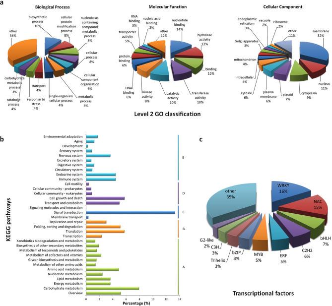 https://cdn.ncbi.nlm.nih.gov/pmc/blobs/bae3/8110538/18e07ae894fd/41598_2021_89350_Fig1_HTML.jpg