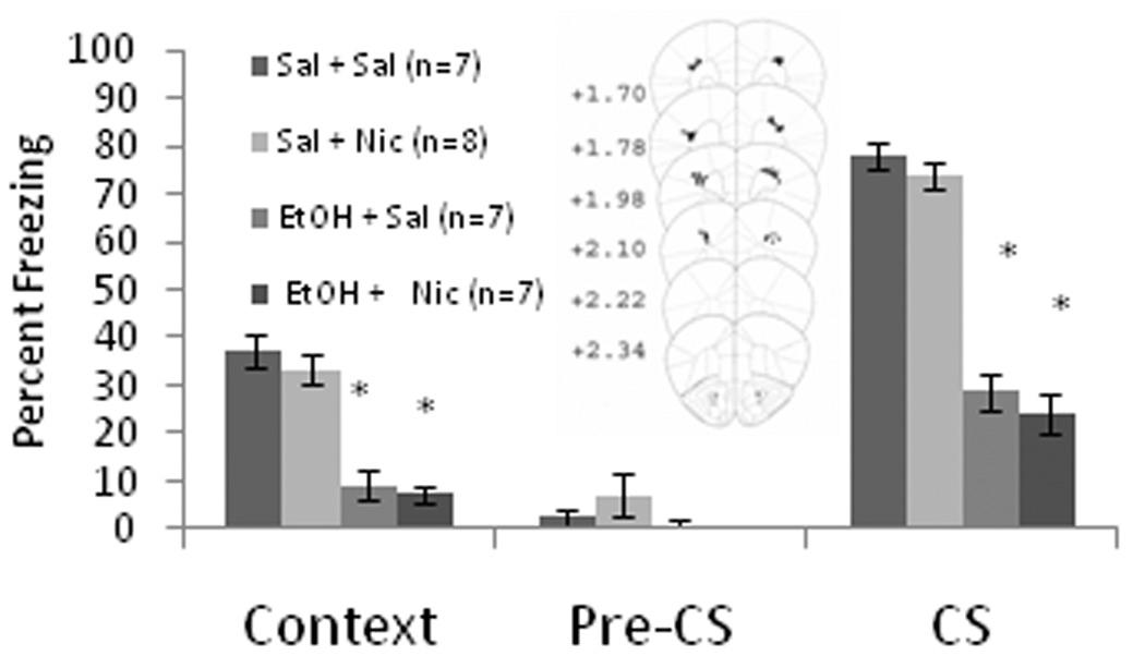 https://cdn.ncbi.nlm.nih.gov/pmc/blobs/bae4/2770339/6b85732f8f3d/nihms108312f4a.jpg