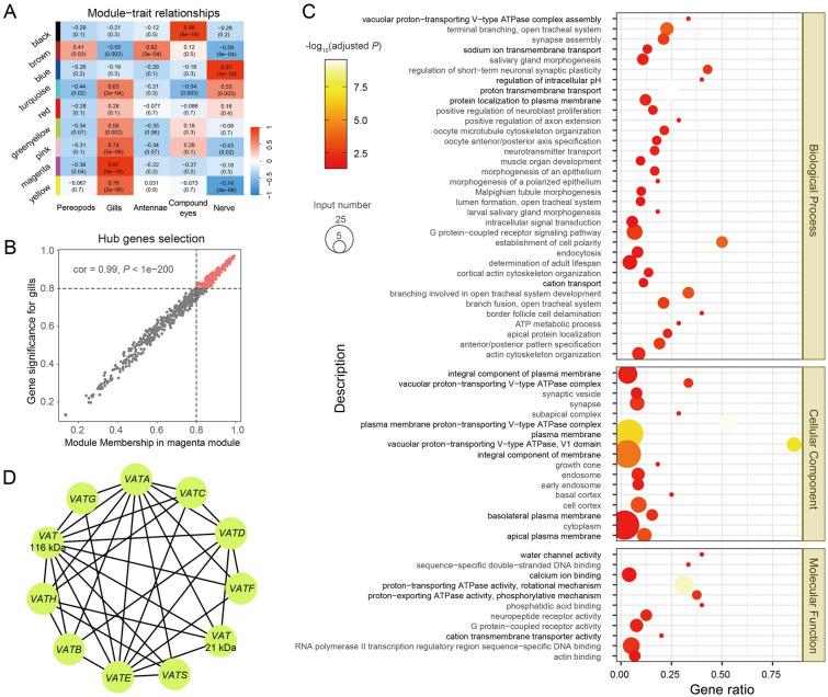 https://cdn.ncbi.nlm.nih.gov/pmc/blobs/bae5/12102416/50c882fde5a1/42995_2025_298_Fig3_HTML.jpg