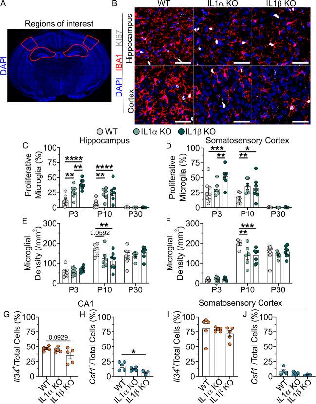 https://cdn.ncbi.nlm.nih.gov/pmc/blobs/bae7/12239217/c74f4613f343/develop-152-204610-g6.jpg