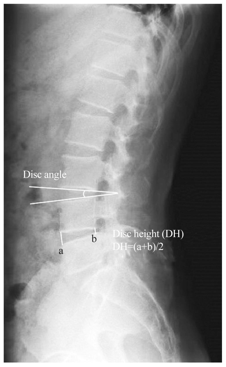 https://cdn.ncbi.nlm.nih.gov/pmc/blobs/bae7/12400092/ef89fc7445c8/asj-2024-0002f1.jpg