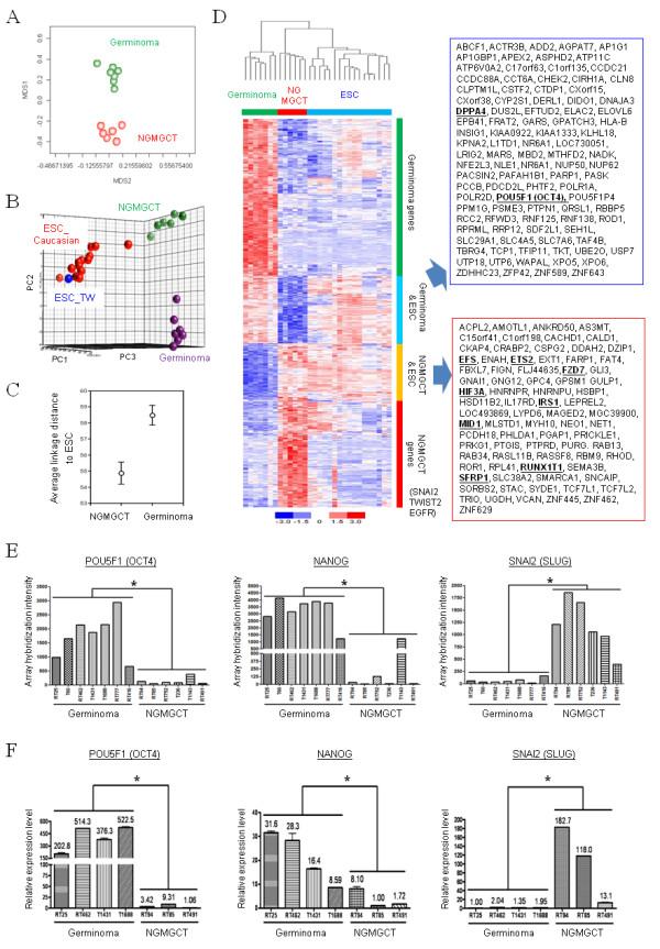https://cdn.ncbi.nlm.nih.gov/pmc/blobs/bae8/2837036/0cfe1a92b4be/1471-2164-11-132-2.jpg