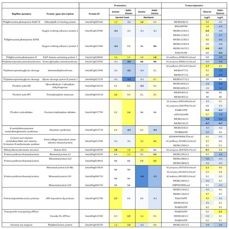 https://cdn.ncbi.nlm.nih.gov/pmc/blobs/bae9/5620531/1cc4c8f99e10/proteomes-05-00014-g001.jpg