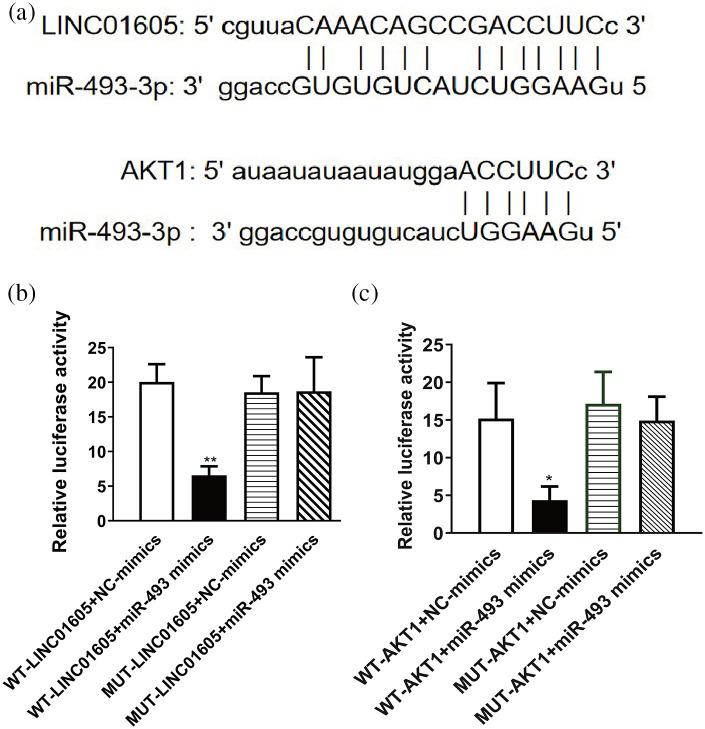 https://cdn.ncbi.nlm.nih.gov/pmc/blobs/bae9/8150463/c31a5e140c3a/10.1177_20587384211016724-fig4.jpg