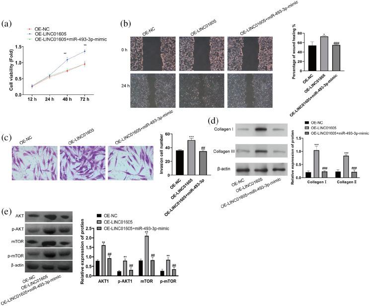 https://cdn.ncbi.nlm.nih.gov/pmc/blobs/bae9/8150463/ef7d5495fd02/10.1177_20587384211016724-fig5.jpg