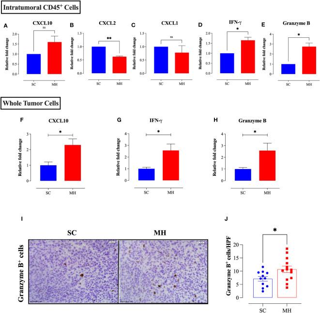 https://cdn.ncbi.nlm.nih.gov/pmc/blobs/baeb/10912506/175350e72573/fimmu-15-1354297-g005.jpg