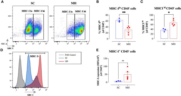 https://cdn.ncbi.nlm.nih.gov/pmc/blobs/baeb/10912506/52a440963f59/fimmu-15-1354297-g004.jpg