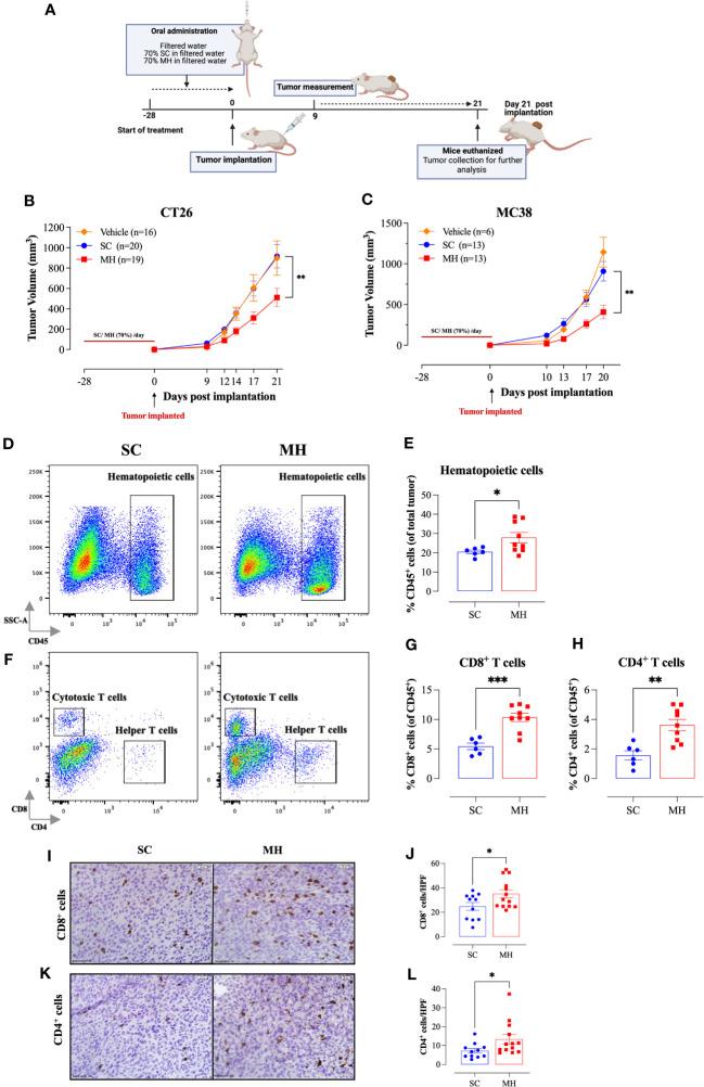https://cdn.ncbi.nlm.nih.gov/pmc/blobs/baeb/10912506/ded164b73070/fimmu-15-1354297-g002.jpg