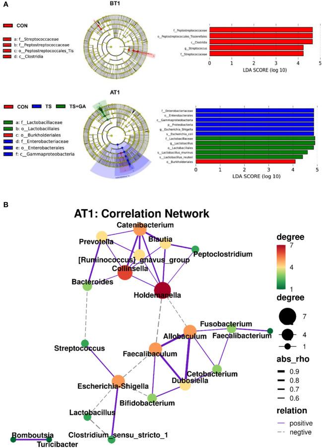 https://cdn.ncbi.nlm.nih.gov/pmc/blobs/baec/8795593/5d618886d519/fimmu-12-813890-g004.jpg