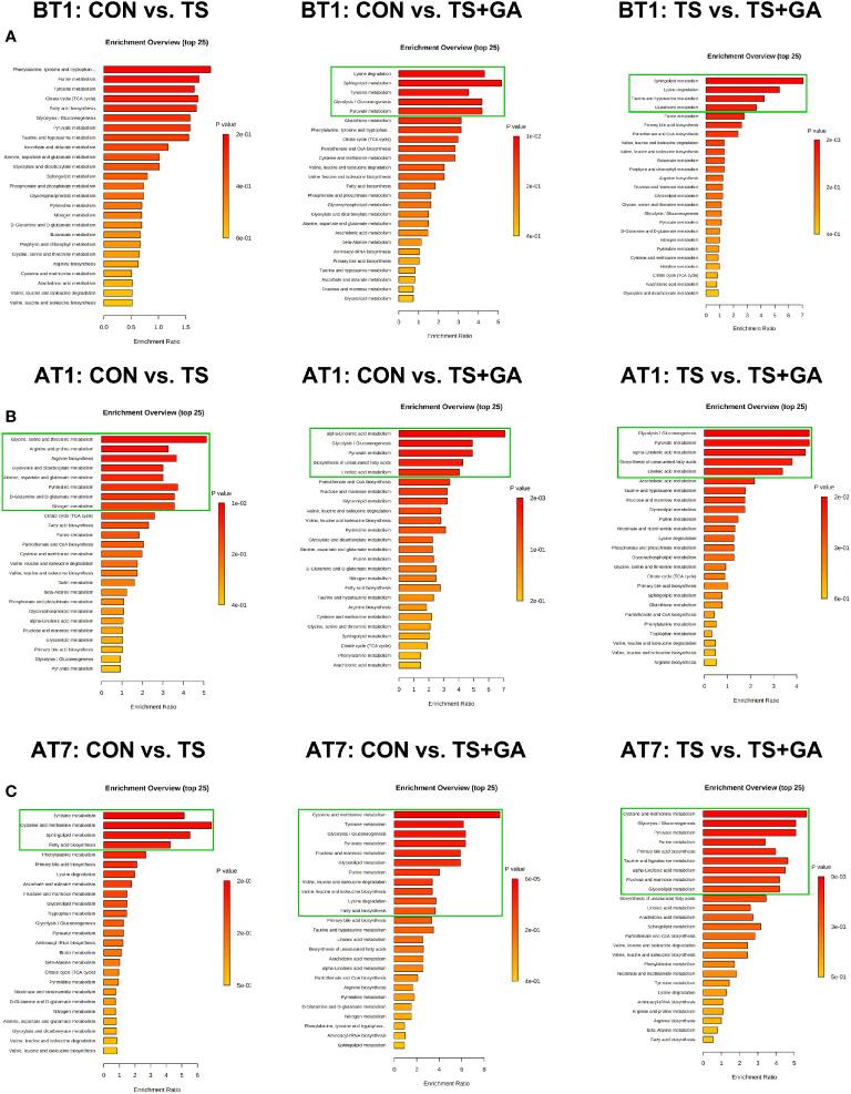 https://cdn.ncbi.nlm.nih.gov/pmc/blobs/baec/8795593/6a3df76d50ba/fimmu-12-813890-g009.jpg