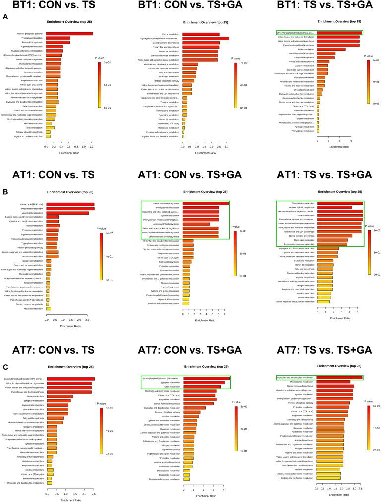 https://cdn.ncbi.nlm.nih.gov/pmc/blobs/baec/8795593/939305369143/fimmu-12-813890-g007.jpg