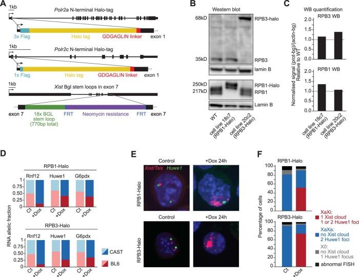 https://cdn.ncbi.nlm.nih.gov/pmc/blobs/baed/10442225/58a6ef90a3a7/41594_2023_1008_Fig6_ESM.jpg