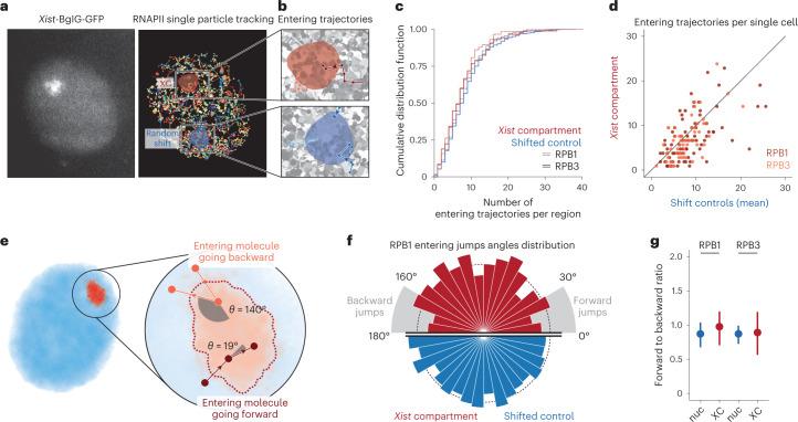 https://cdn.ncbi.nlm.nih.gov/pmc/blobs/baed/10442225/654c7a7e3d67/41594_2023_1008_Fig2_HTML.jpg