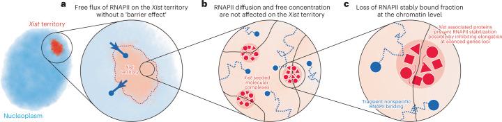 https://cdn.ncbi.nlm.nih.gov/pmc/blobs/baed/10442225/716b943d2803/41594_2023_1008_Fig5_HTML.jpg