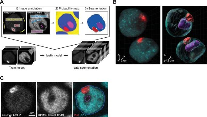 https://cdn.ncbi.nlm.nih.gov/pmc/blobs/baed/10442225/cddfa27762bd/41594_2023_1008_Fig7_ESM.jpg