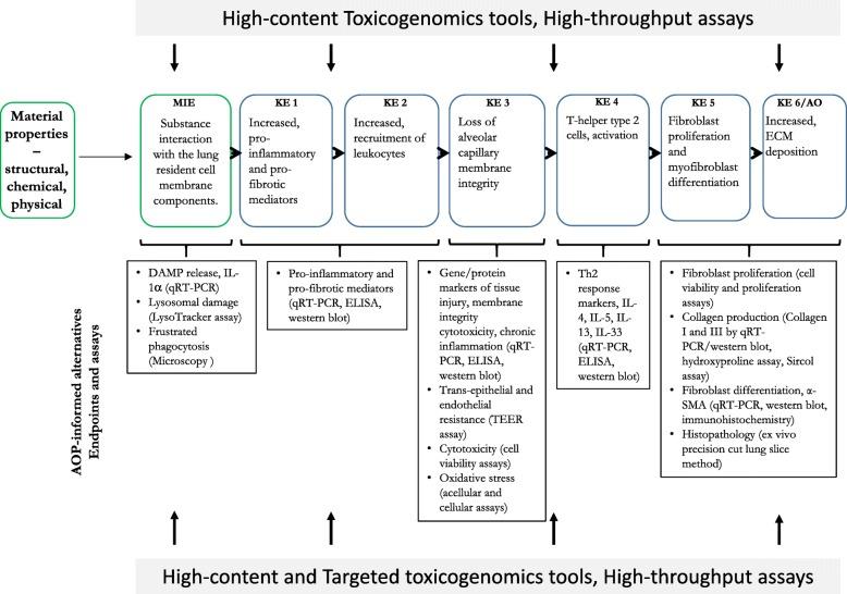 https://cdn.ncbi.nlm.nih.gov/pmc/blobs/baed/7249325/4e53396d772a/12989_2020_344_Fig3_HTML.jpg