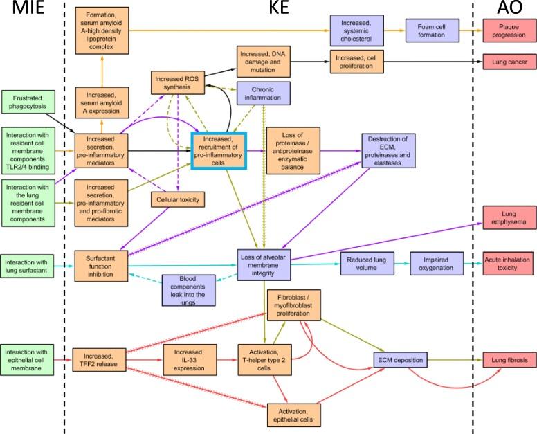 https://cdn.ncbi.nlm.nih.gov/pmc/blobs/baed/7249325/903a6b547f67/12989_2020_344_Fig2_HTML.jpg