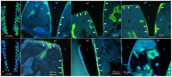 https://cdn.ncbi.nlm.nih.gov/pmc/blobs/baf0/11243467/47f618d2aaca/materials-17-03341-g002.jpg