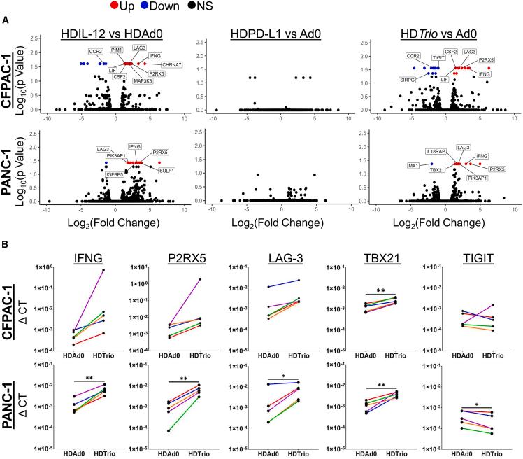 https://cdn.ncbi.nlm.nih.gov/pmc/blobs/baf2/12179663/34a7dfaa45c4/gr2.jpg
