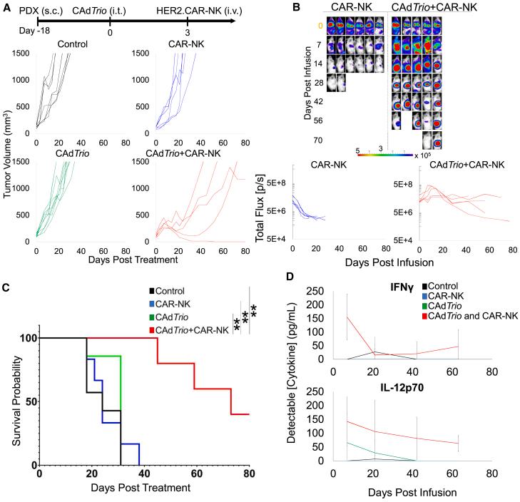 https://cdn.ncbi.nlm.nih.gov/pmc/blobs/baf2/12179663/6e94a1e9f94b/gr5.jpg