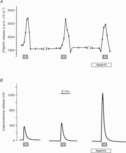 https://cdn.ncbi.nlm.nih.gov/pmc/blobs/baf4/1156532/383f6e0ddea4/jphysiol00316-0168-a.jpg