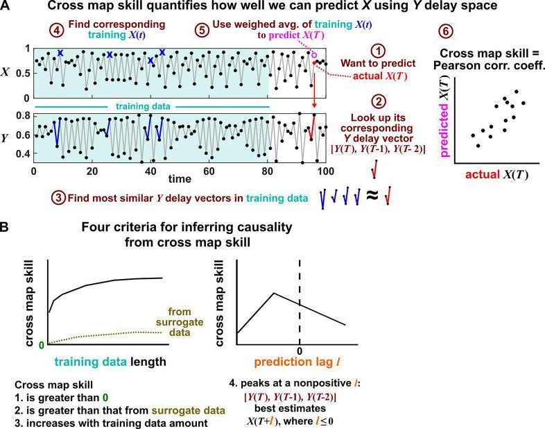 https://cdn.ncbi.nlm.nih.gov/pmc/blobs/baf4/9391047/00b2cb8b66d5/elife-72518-fig6.jpg