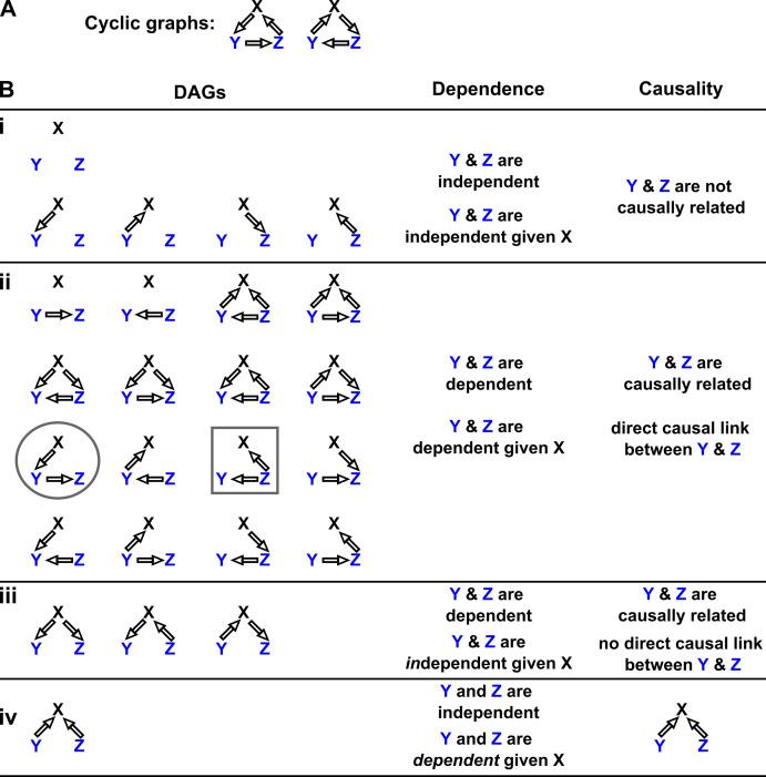 https://cdn.ncbi.nlm.nih.gov/pmc/blobs/baf4/9391047/218346c5d62d/elife-72518-app2-fig2.jpg