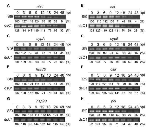 https://cdn.ncbi.nlm.nih.gov/pmc/blobs/baf5/3505465/4f0a55263500/1472-6750-12-83-7.jpg