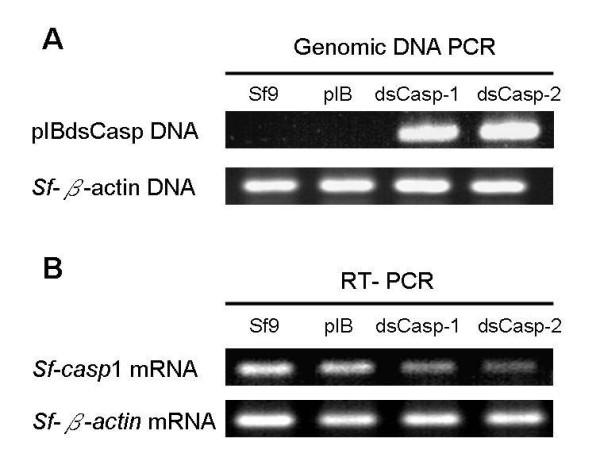 https://cdn.ncbi.nlm.nih.gov/pmc/blobs/baf5/3505465/5427255b50c6/1472-6750-12-83-3.jpg