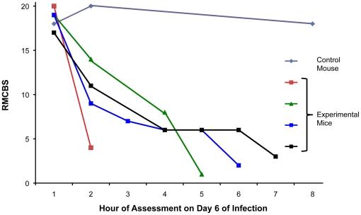 https://cdn.ncbi.nlm.nih.gov/pmc/blobs/baf7/2948515/ad1834f5212e/pone.0013124.g004.jpg