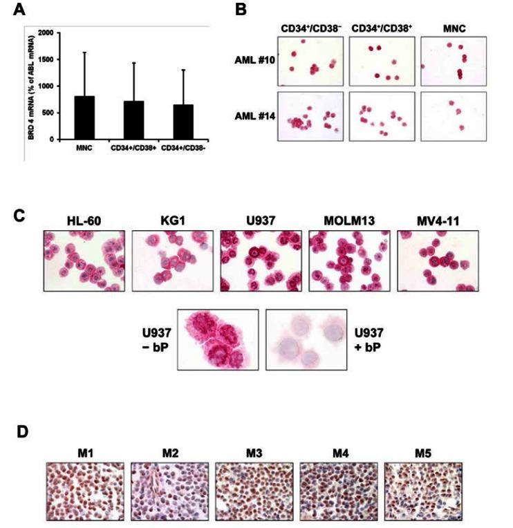 https://cdn.ncbi.nlm.nih.gov/pmc/blobs/baf9/3681497/7addb90ba431/oncotarget-03-1588-g001.jpg