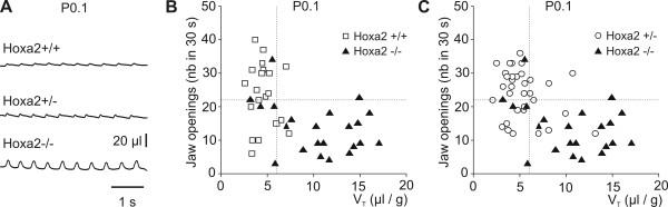 https://cdn.ncbi.nlm.nih.gov/pmc/blobs/bafa/2098766/a5f49fd8f945/1749-8104-2-19-1.jpg