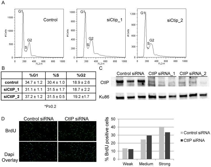 https://cdn.ncbi.nlm.nih.gov/pmc/blobs/bafa/3493458/226b023ff0b2/pgen.1003050.g002.jpg