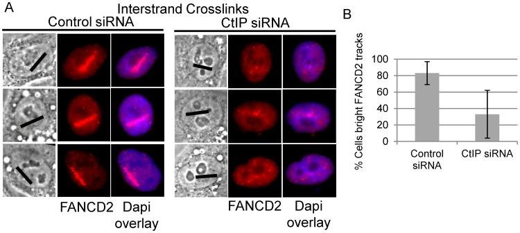 https://cdn.ncbi.nlm.nih.gov/pmc/blobs/bafa/3493458/4397c32ead2e/pgen.1003050.g005.jpg