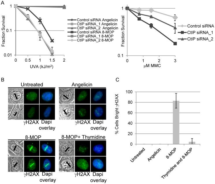 https://cdn.ncbi.nlm.nih.gov/pmc/blobs/bafa/3493458/a07a6bc2f809/pgen.1003050.g001.jpg
