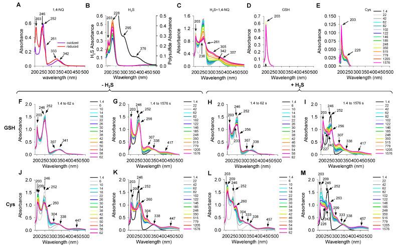 https://cdn.ncbi.nlm.nih.gov/pmc/blobs/bafc/10138938/952e83778e7f/ijms-24-07516-g002.jpg