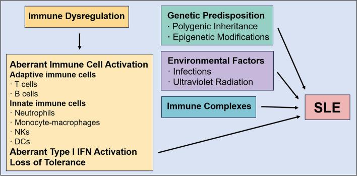 https://cdn.ncbi.nlm.nih.gov/pmc/blobs/bafc/11522254/a3a9cd6a7f2d/43556_2024_217_Fig1_HTML.jpg