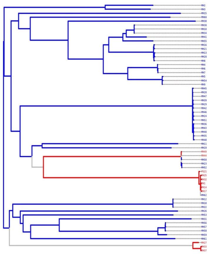 https://cdn.ncbi.nlm.nih.gov/pmc/blobs/bb01/12075135/922b40d80a3e/fmicb-16-1561378-g0003.jpg