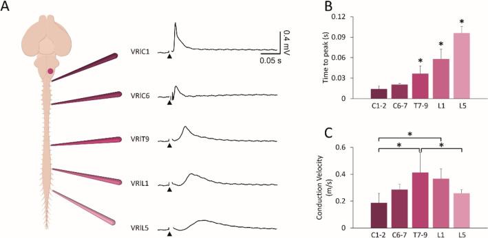 https://cdn.ncbi.nlm.nih.gov/pmc/blobs/bb02/11410120/f8606294cc0f/10571_2023_1321_Fig4_HTML.jpg