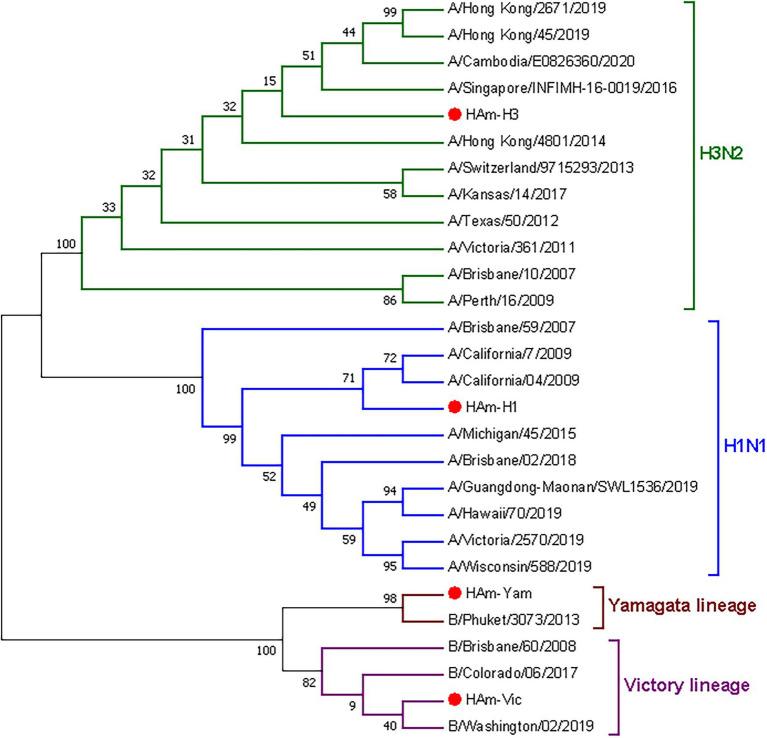 https://cdn.ncbi.nlm.nih.gov/pmc/blobs/bb03/9558277/5b73d77876b9/fmicb-13-1014122-g005.jpg