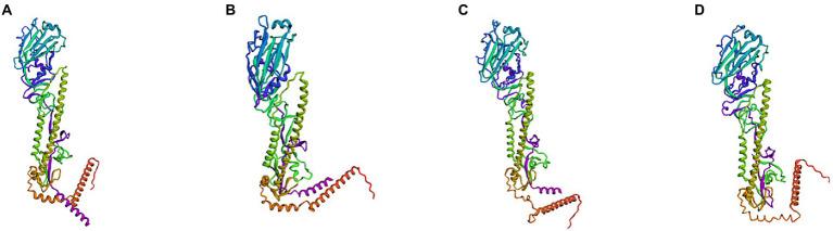 https://cdn.ncbi.nlm.nih.gov/pmc/blobs/bb03/9558277/fead9f1d242c/fmicb-13-1014122-g007.jpg