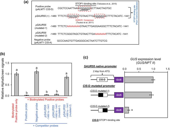 https://cdn.ncbi.nlm.nih.gov/pmc/blobs/bb07/10755337/c29f8cdb9bf5/PLD3-8-e557-g001.jpg