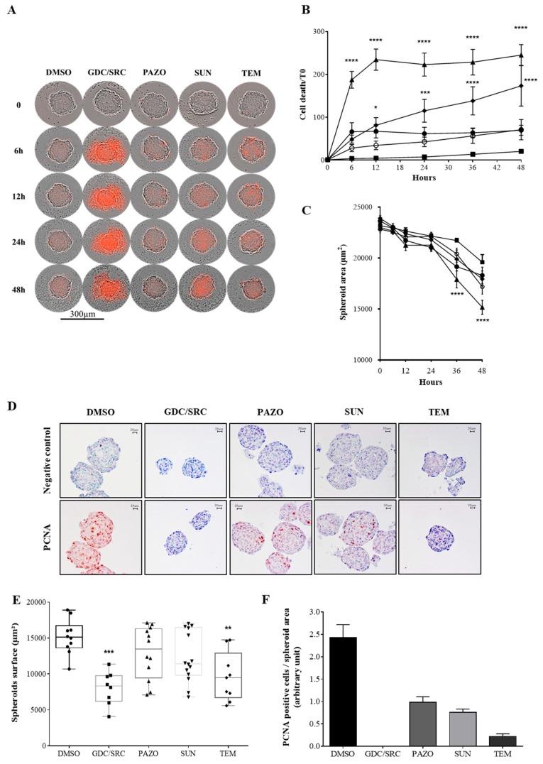 https://cdn.ncbi.nlm.nih.gov/pmc/blobs/bb09/7016787/f3d0695b96eb/cancers-12-00232-g001.jpg