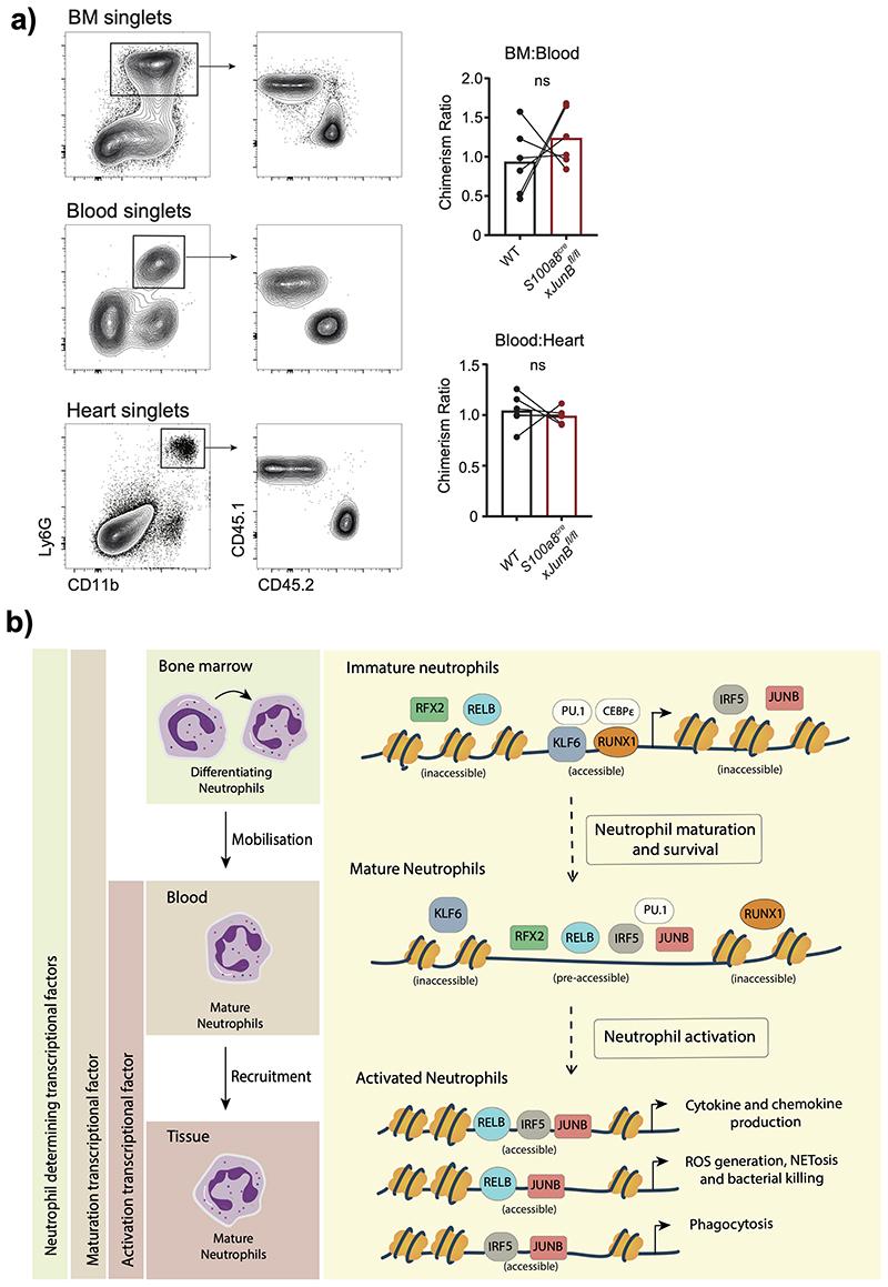 https://cdn.ncbi.nlm.nih.gov/pmc/blobs/bb09/7611586/2cb9fc7f1a32/EMS127176-f017.jpg