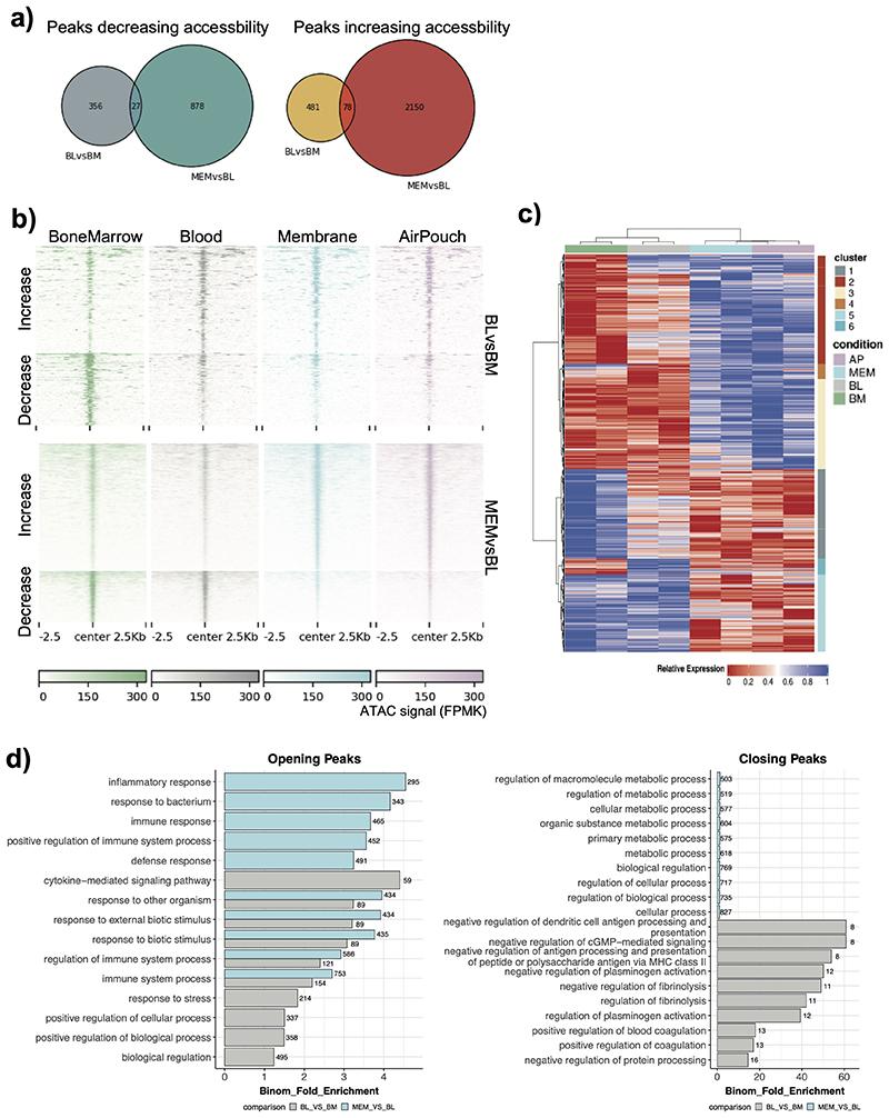 https://cdn.ncbi.nlm.nih.gov/pmc/blobs/bb09/7611586/654a9ac77568/EMS127176-f010.jpg