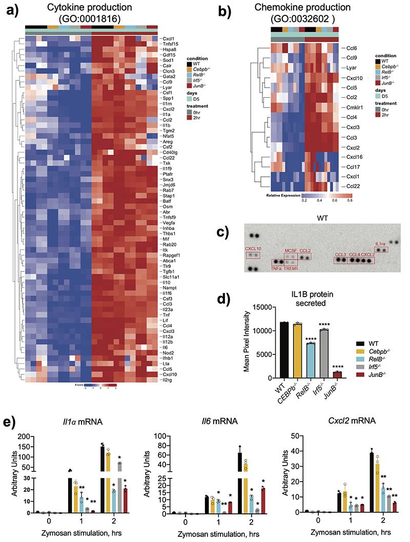 https://cdn.ncbi.nlm.nih.gov/pmc/blobs/bb09/7611586/6be40bf8b128/EMS127176-f016.jpg