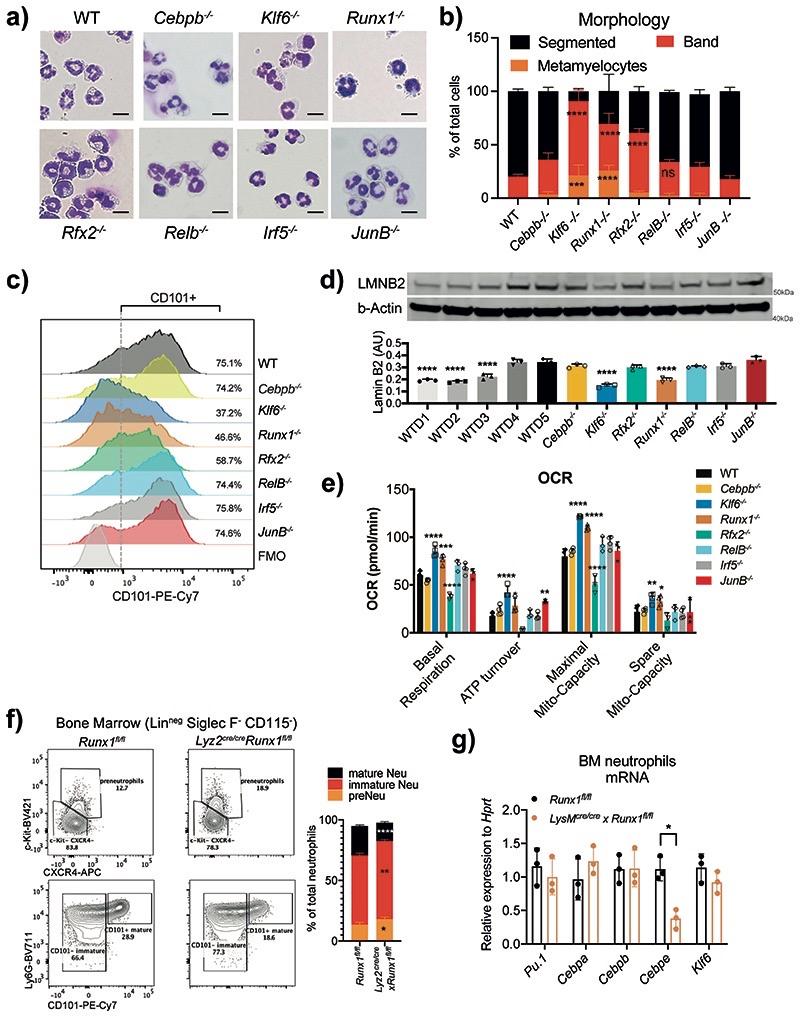 https://cdn.ncbi.nlm.nih.gov/pmc/blobs/bb09/7611586/6d172902a6f7/EMS127176-f003.jpg